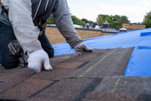 Best Residential Roofing Contractor  in St Peter, WI