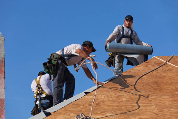 Best Roof Maintenance Services  in St Peter, WI