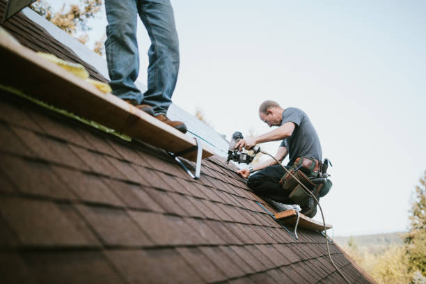 Best Gutter Installation and Roofing  in St Peter, WI